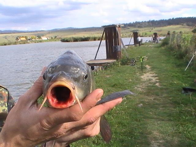 la pescuit - pic3854.JPG